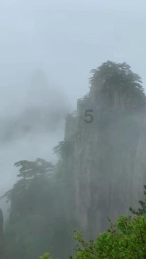 为何今年美债收益率攀升美股还那么牛?高盛“一针见血”给出答案
